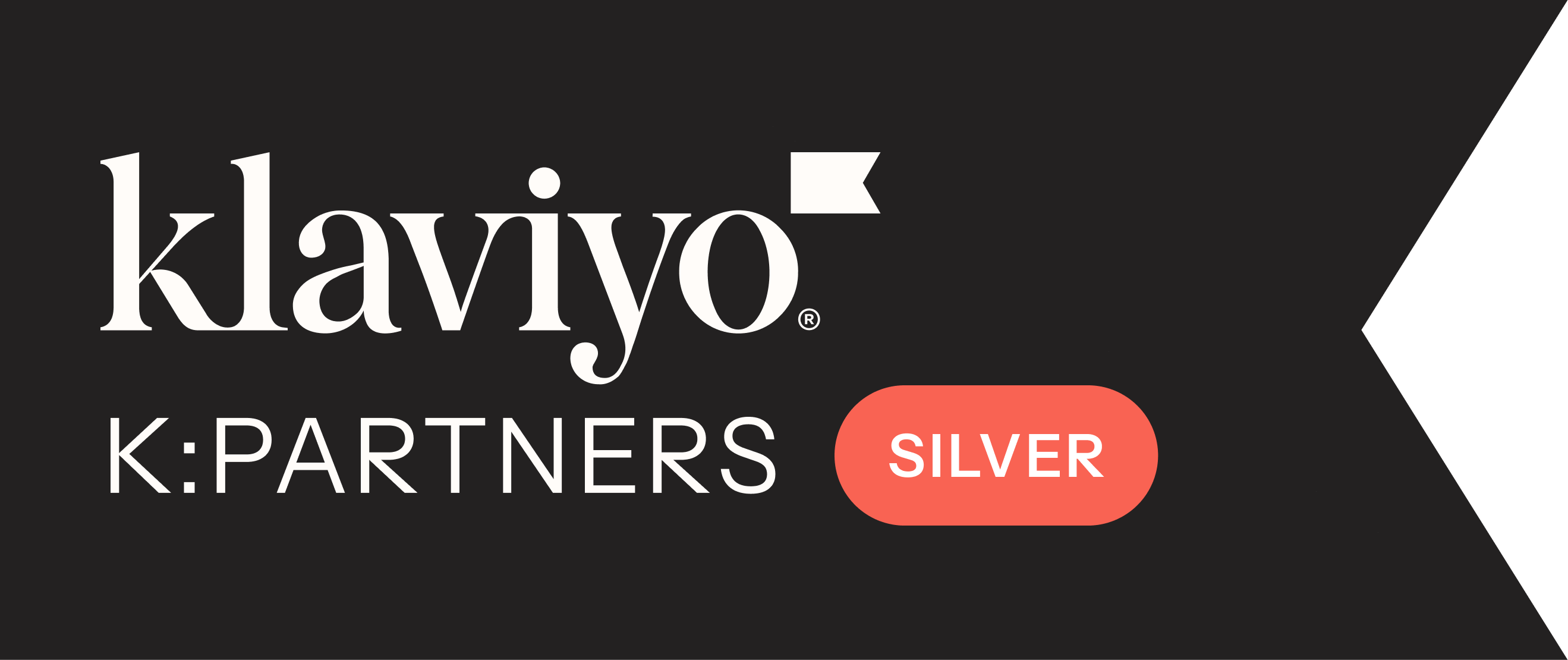 Klaviyo Partner, Silver tier